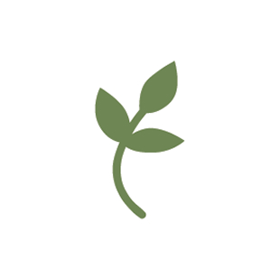 Creative Memories is Back and Better than Ever