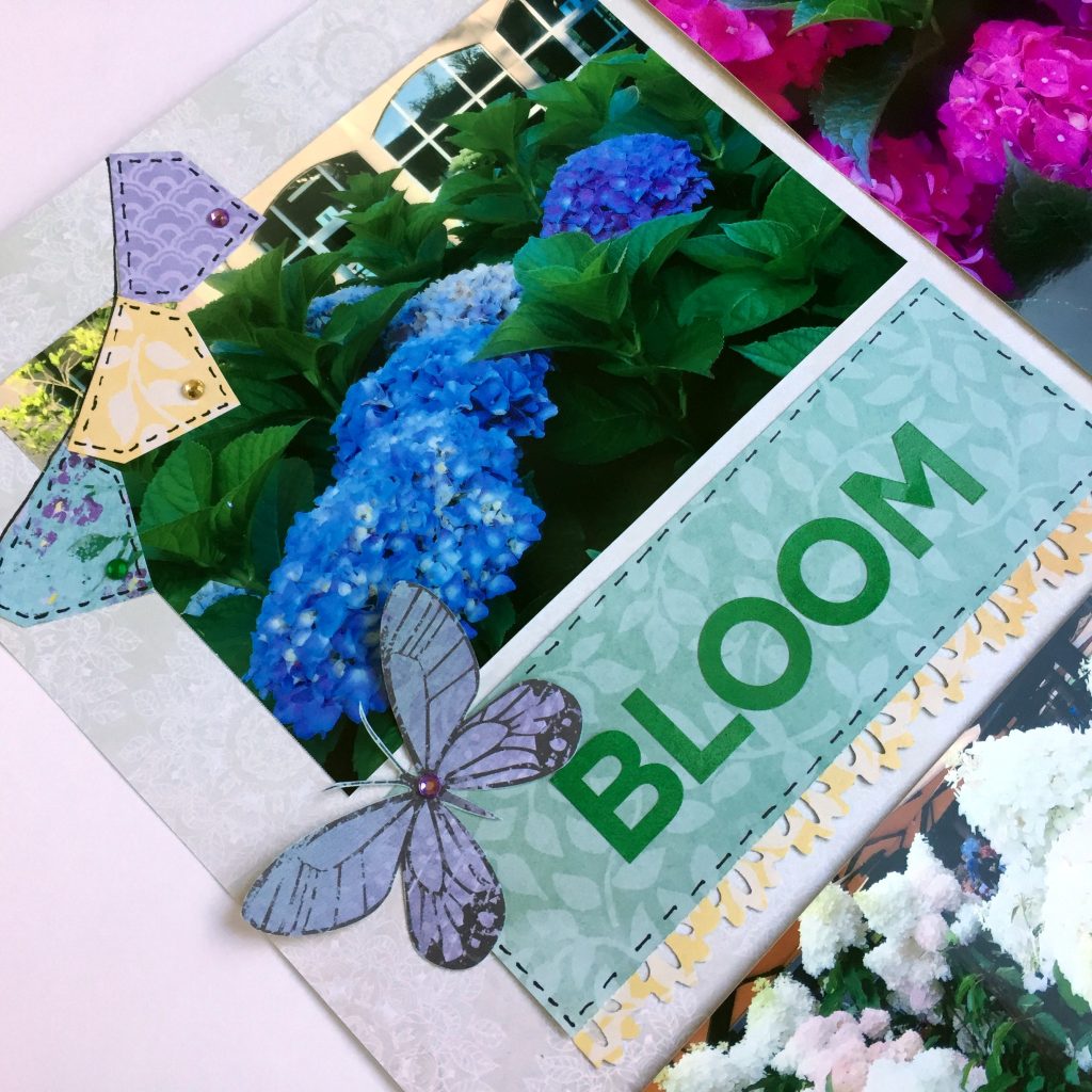 Pinterest Inspired Layout: Fresh Picks