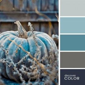 Virtual Crop: Challenge 5-Color Challenge – The Pages