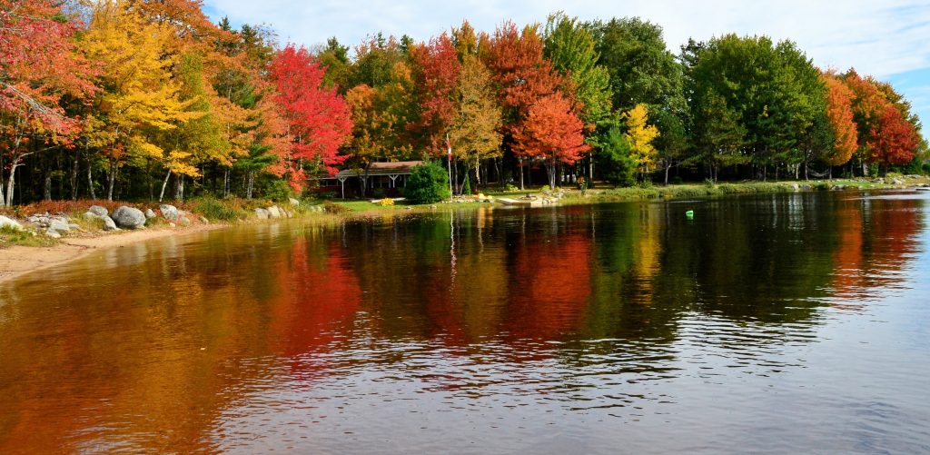 Photo Tips – Top 10 Thanksgiving Photos