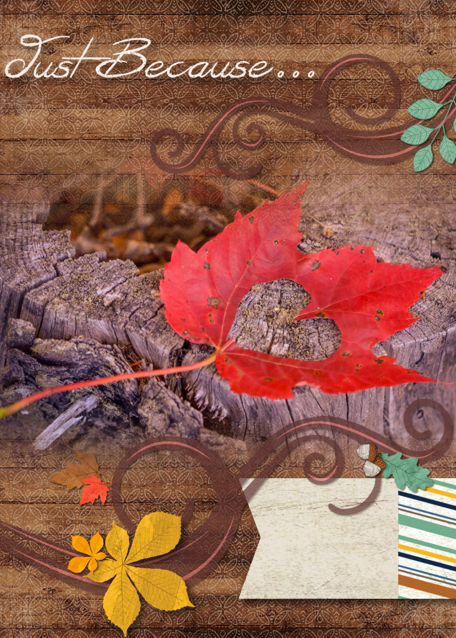 2016-card-5-x-7-page-001