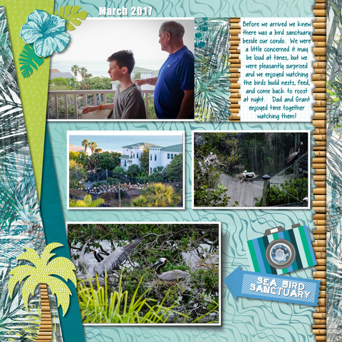 301909149583921.vAPWu2VvP2N4R6A9wvMB_height640