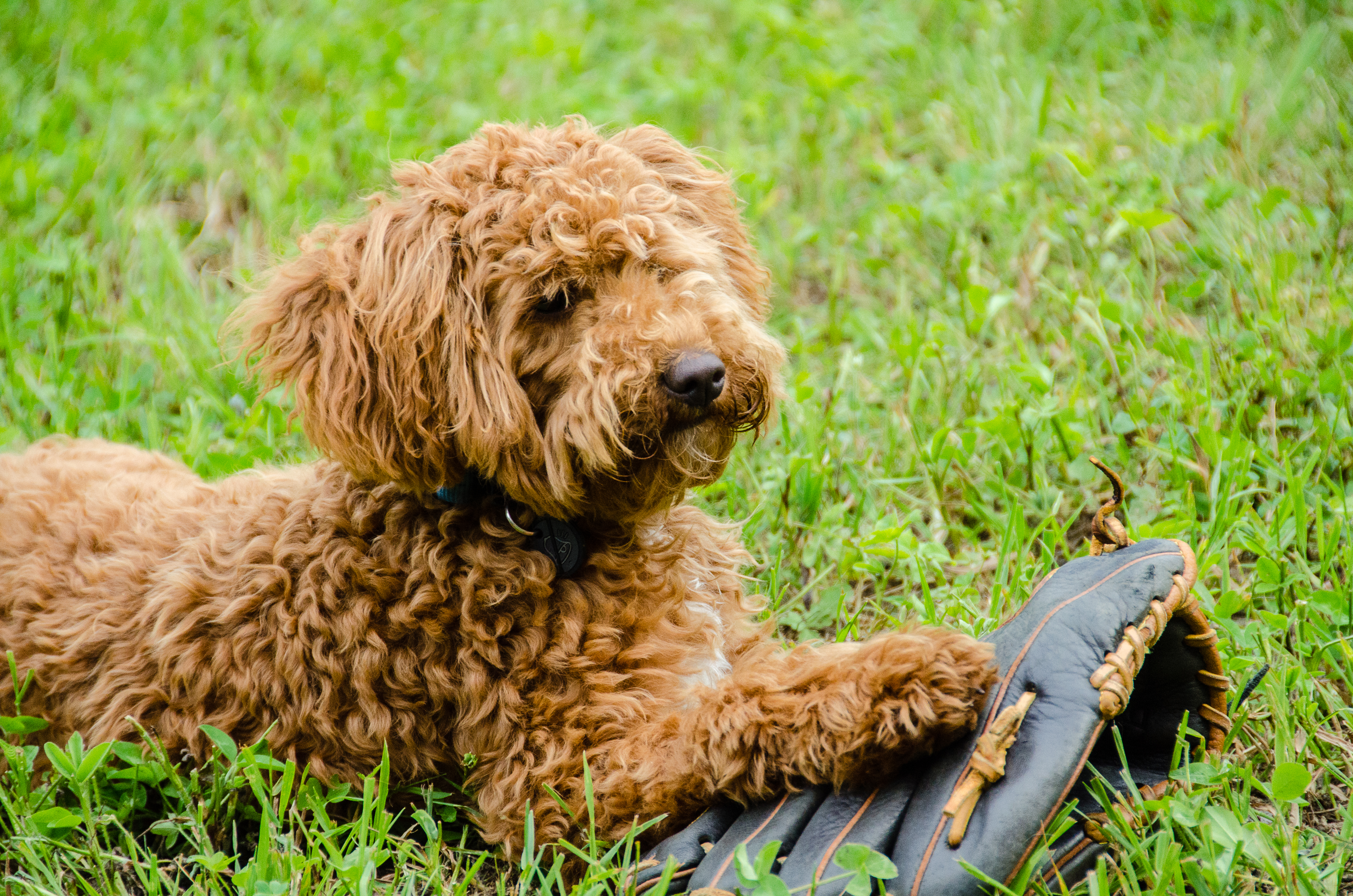 50th anniversary-7614