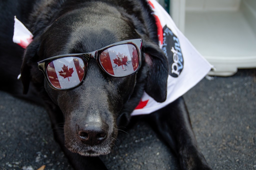 Happy Canada Day – Capture the Memories