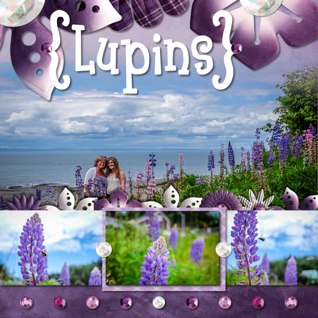 Digital – Mix & Match Layouts