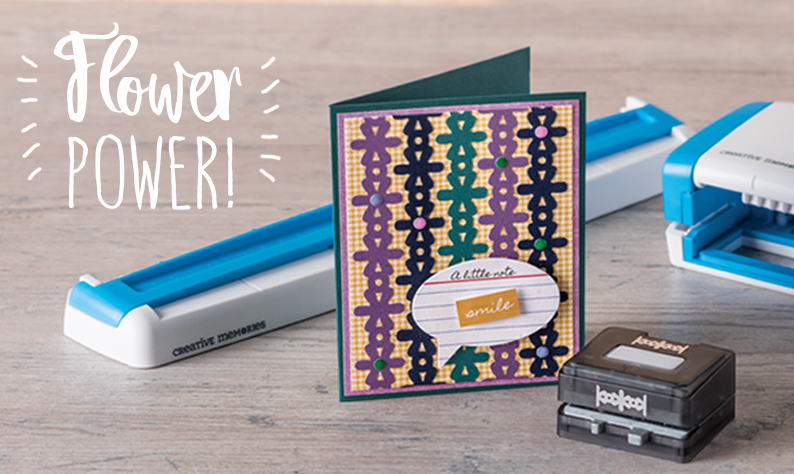 794x474DancingDaisiesBMC