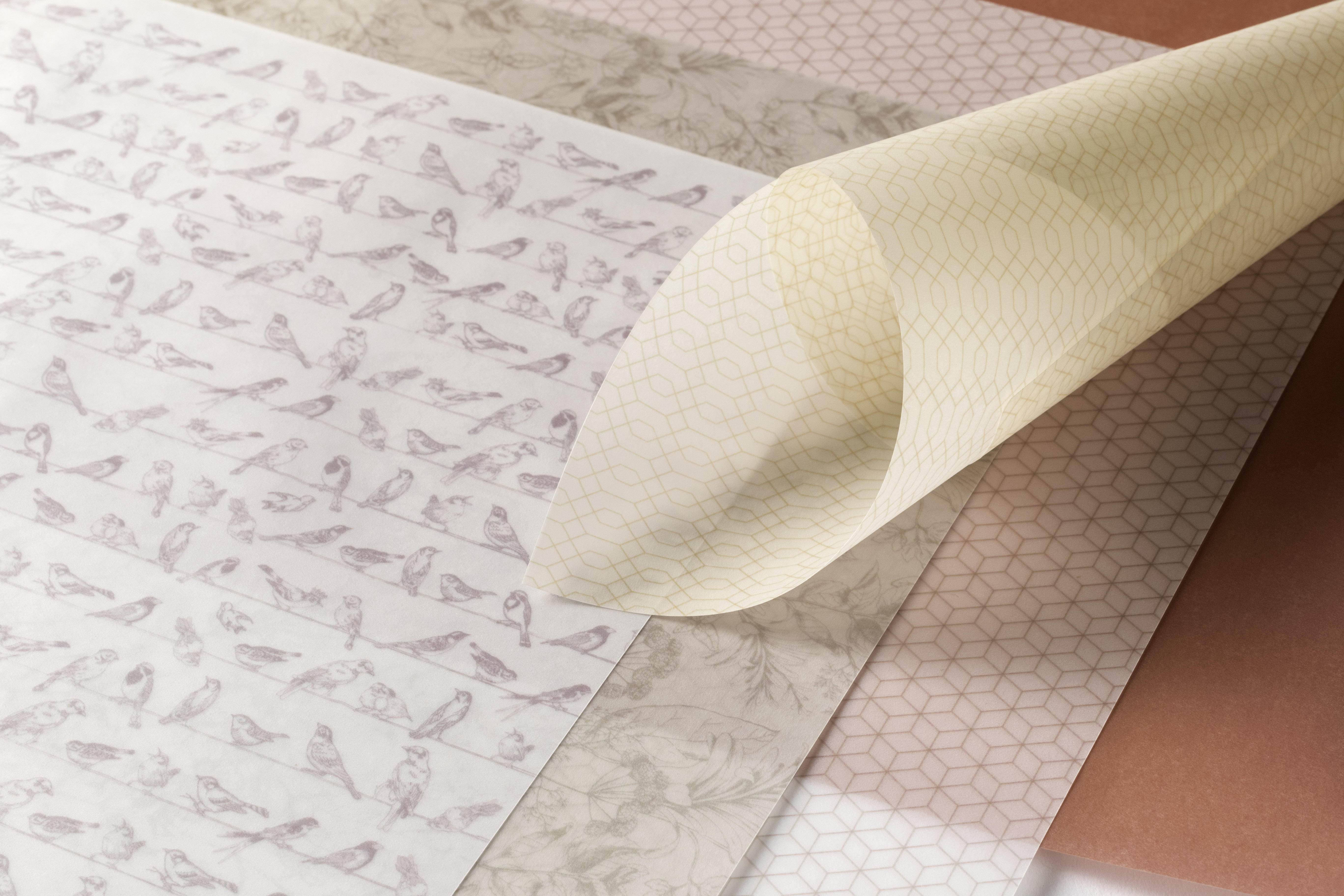 COUNTRY_COMFORT_VELLUM_PAPERS_CU-Edit