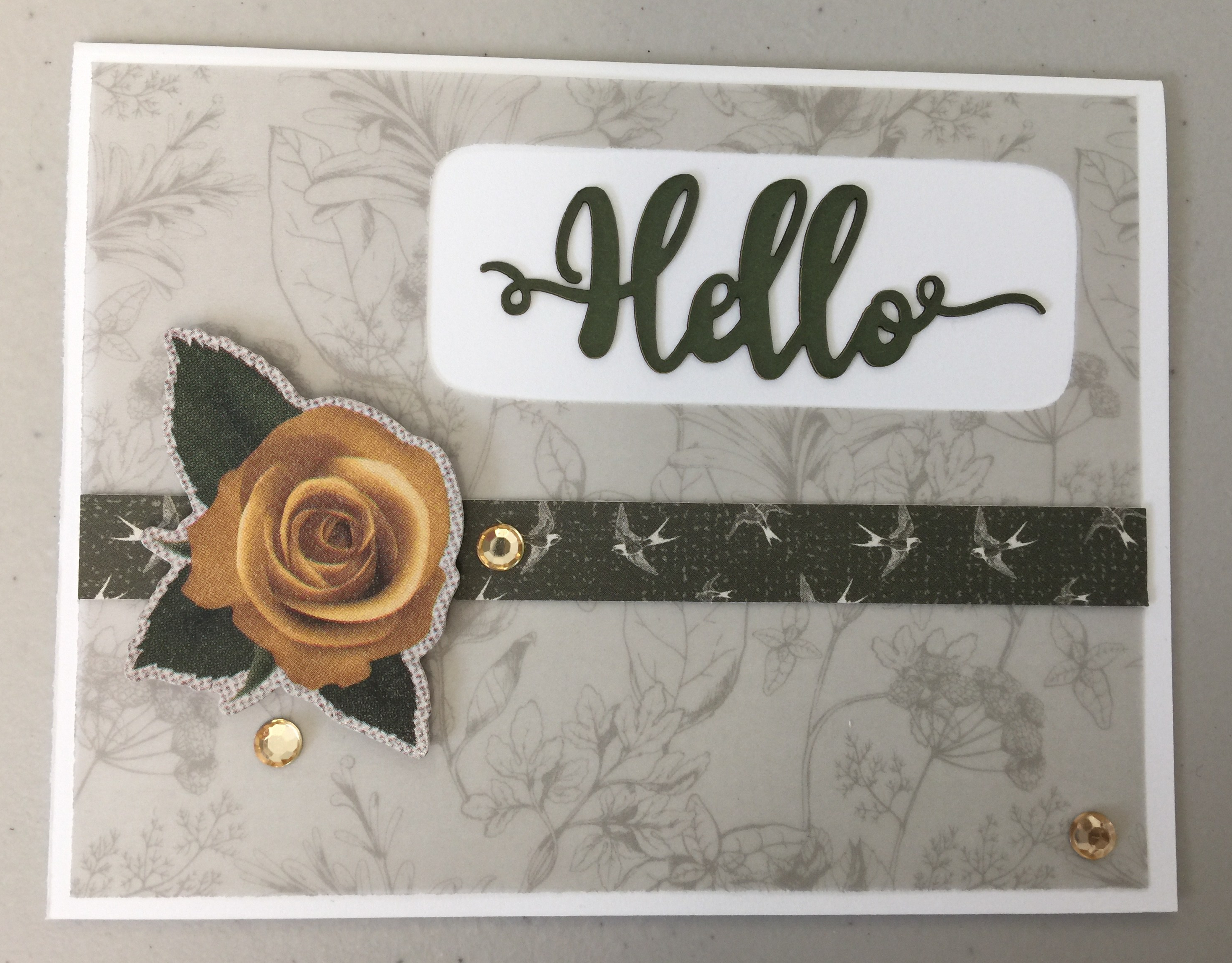 September 23 Pics 567