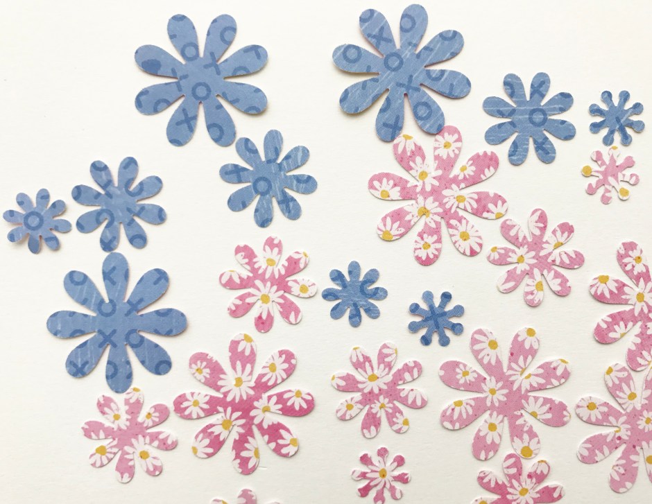 daisies1.jpg