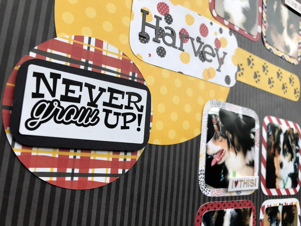 Win Pocket Pages & Peekaboo Pockets™: Virtual Crop Challenge 6