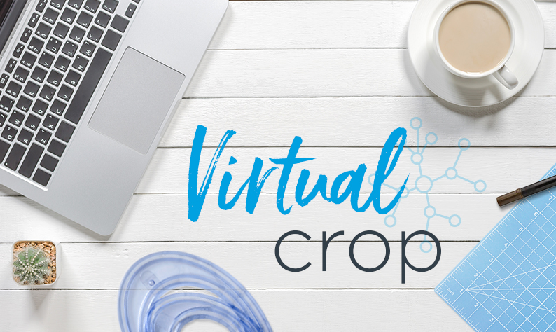Win a Punch: Virtual Crop Challenge 1