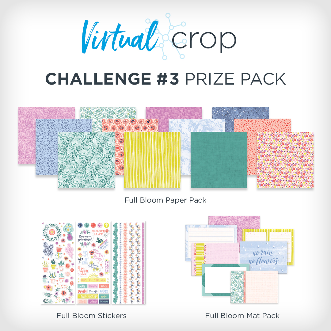 VirtualCrop_Prize3
