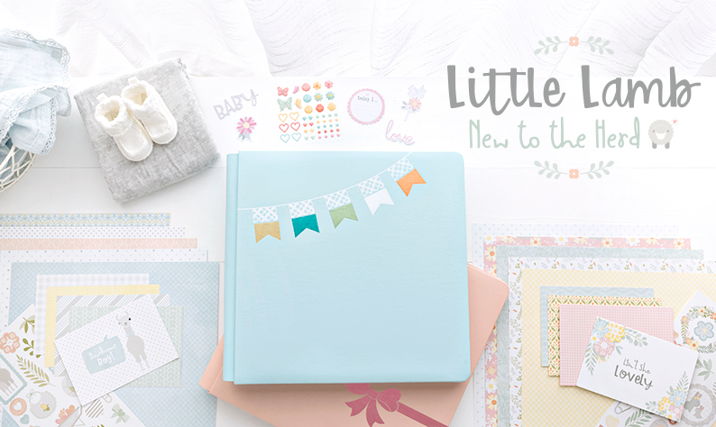 #FeatureFriday – Go Behind the Scenes with Little Lamb’s Product Designer