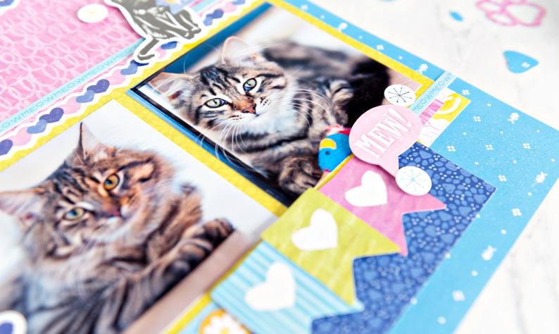 Best in Show Cat Scrapbook Layout