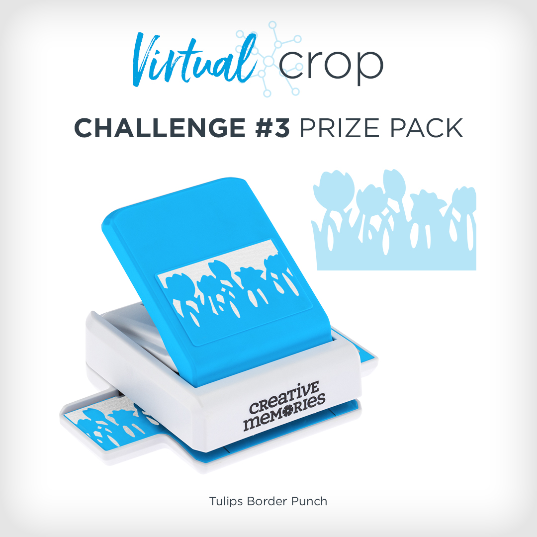 VirtualCrop_0219_Prize3