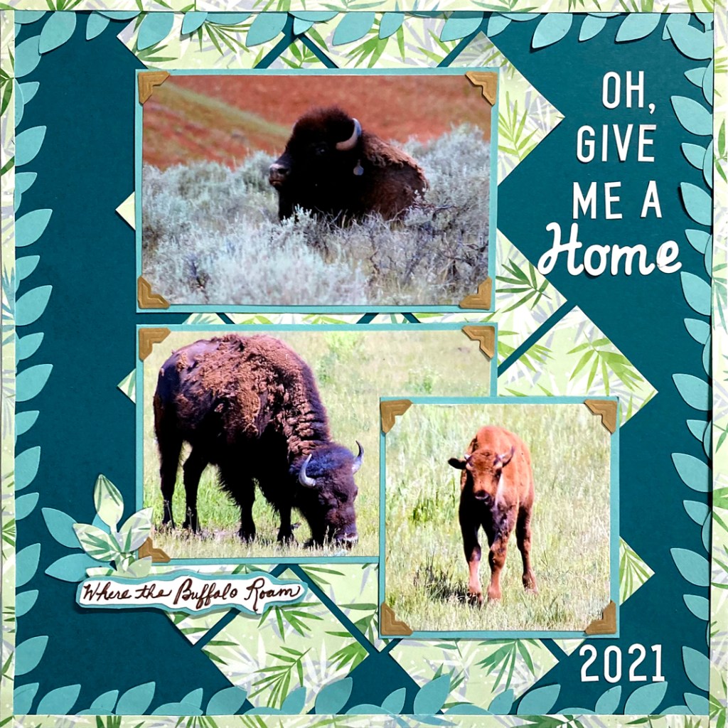 Worldwide Virtual Crop 2021: Challenge #5