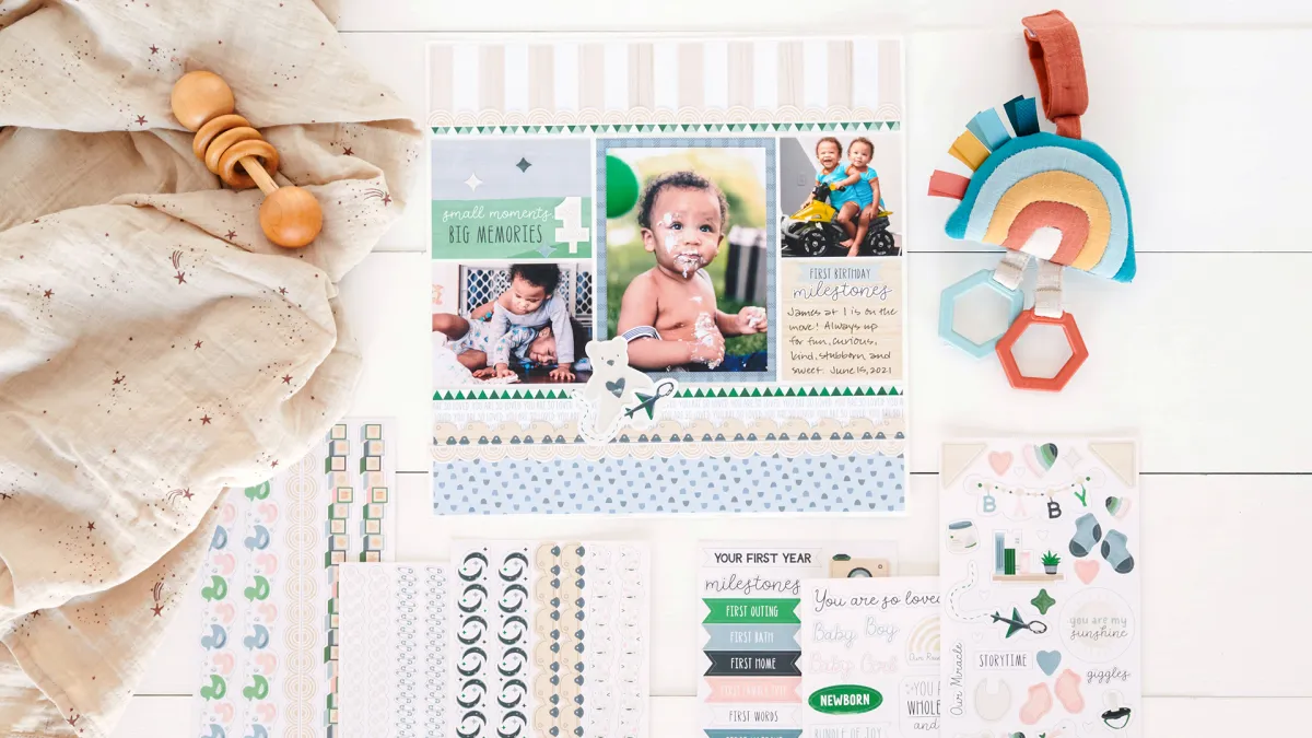 Baby's First Year Album