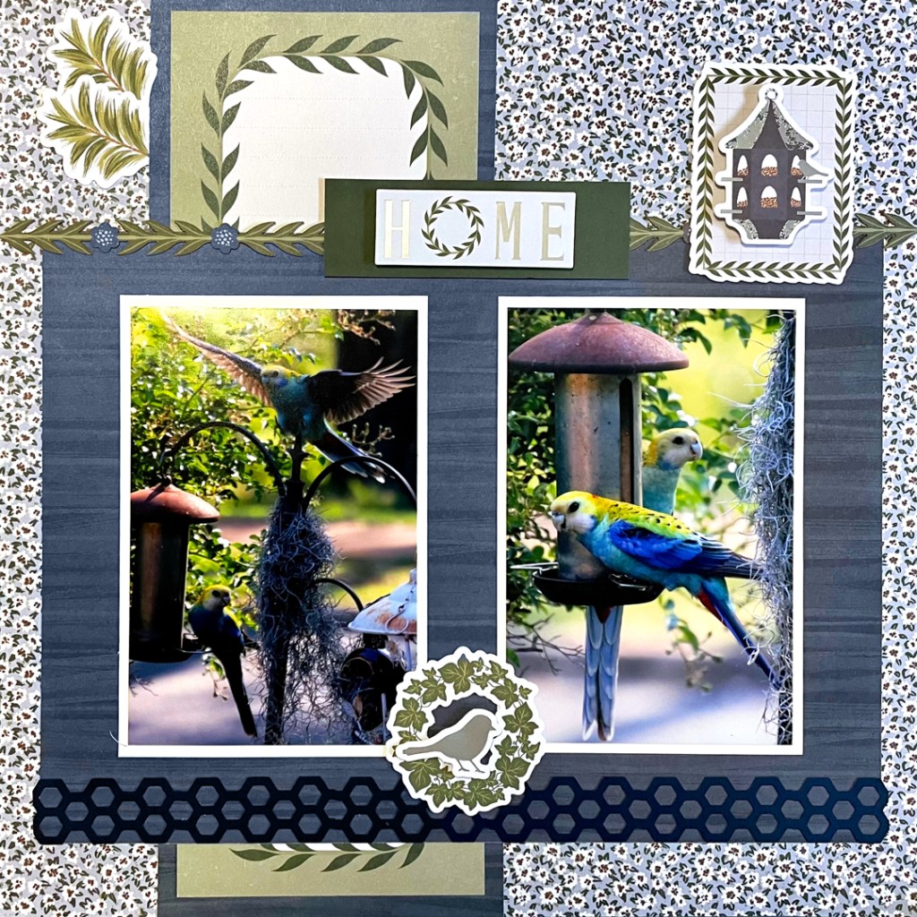 Win Your Choice of 1 Punch: Virtual Crop Challenge #4