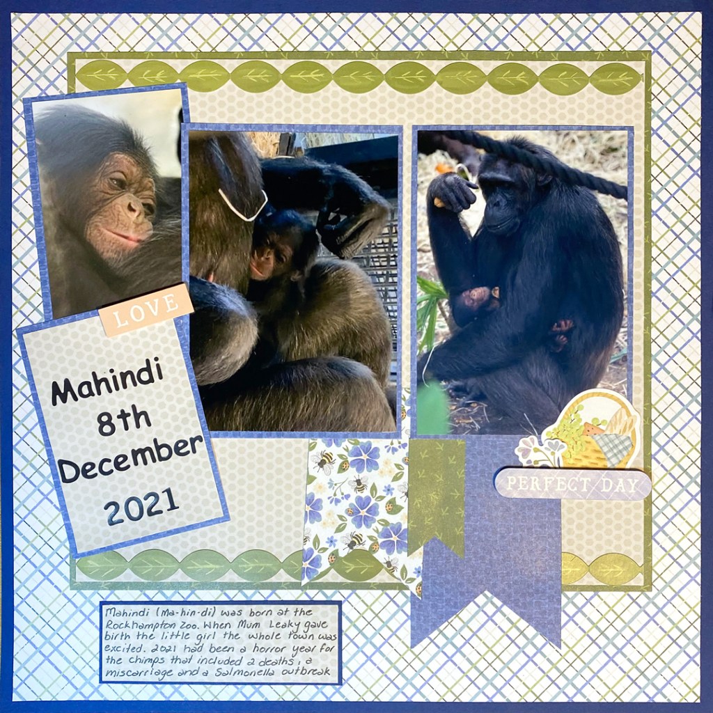 Win Your Choice of 1 Punch: Virtual Crop Challenge #4