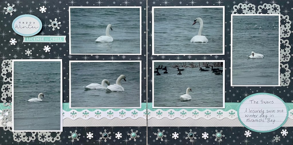 Two-page spread with six photos of swans, a snowflake chain border at the bottom and journaling.