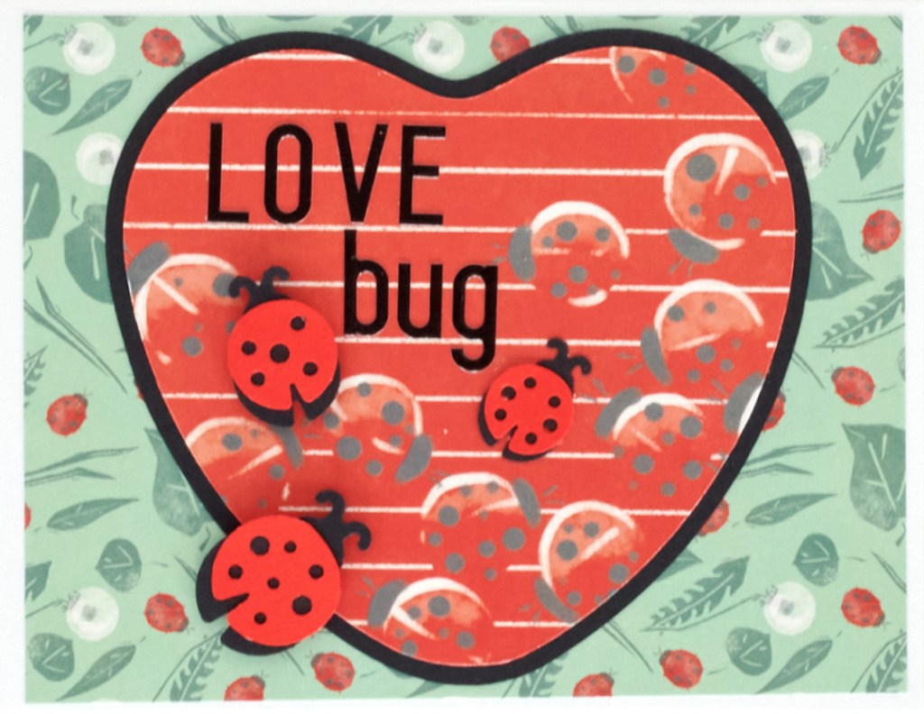 Love bug card idea with ladybug-themed paper and punch outs.